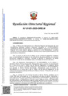 Vista preliminar de documento RDR 1431-2025-DRELM