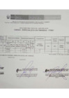 Vista preliminar de documento Resultado final
