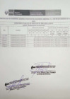 Vista preliminar de documento Resultado preliminar