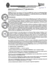 Vista preliminar de documento RESOLUCION GERENCIAL Nº017-2025-MDI-GDT