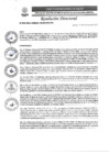 Vista preliminar de documento R.D. N°0355-2025-DIRESA-OGESS-HC
