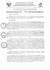 Vista preliminar de documento RD N° 772-2025