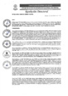 Vista preliminar de documento R.D. N°0358-2025-DIRESA-OGESS-HC