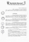 Vista preliminar de documento Resolución Directoral N° 0619-2025-GRSM-DRE-UGEL-SAN-MARTIN