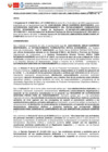 Vista preliminar de documento 000257-2025-GR.LAMB/GERESA-DEMID
