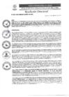 Vista preliminar de documento R.D. N°0365-2025-DIRESA-OGESS-HC
