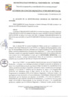 Vista preliminar de documento ACM-20-25