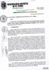 Vista preliminar de documento RA133-2019