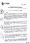 Vista preliminar de documento RA173-2019
