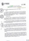 Vista preliminar de documento RA175-2019