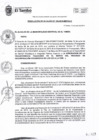 Vista preliminar de documento RA194-2019