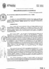 Vista preliminar de documento RA231-2019