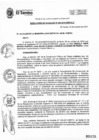 Vista preliminar de documento RA294-2019