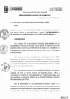 Vista preliminar de documento RA295-2019