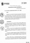Vista preliminar de documento RA306-2019