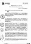 Vista preliminar de documento RA309-2019