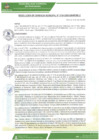 Vista preliminar de documento rgm-0104