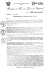 Vista preliminar de documento Resolución Gerencia General N° 087-2025
