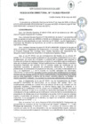 Vista preliminar de documento rd118-2025