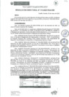 Vista preliminar de documento rd115-2025