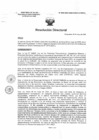 Vista preliminar de documento R.D. 0546-2025-DMID-DIRIS- LE-MINSA