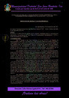 Vista preliminar de documento Ordenanza Municipal N010-2024-MDSJB