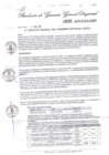 Vista preliminar de documento Resolución Gerencia General N° 206-2025