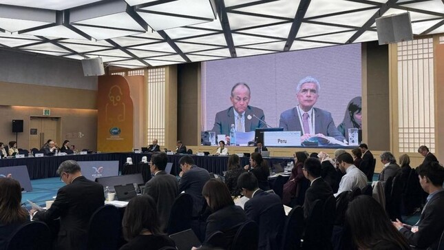 Perú lidera en APEC Corea la lucha contra la informalidad con la aprobación del Plan de Implementación de la Hoja de Ruta de Lima