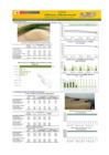 Vista preliminar de documento Boletín de abastecimiento y precio del ARROZ - 14/05/2025