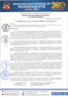 Vista preliminar de documento RGM 133