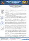 Vista preliminar de documento RGM 134