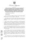 Vista preliminar de documento DECRETO SUPREMO Nº 007-2025-EM