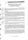 Vista preliminar de documento R.D. N°0433-2025-DIRESA-OGESS-HC