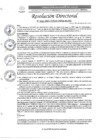 Vista preliminar de documento R.D. N°0441-2025-DIRESA-OGESS-HC