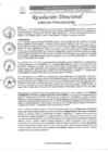 Vista preliminar de documento R.D. N°0447-2025-DIRESA-OGESS-HC