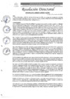 Vista preliminar de documento R.D. N°0448-2025-DIRESA-OGESS-HC