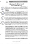 Vista preliminar de documento R.D. N°0452-2025-DIRESA-OGESS-HC