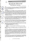 Vista preliminar de documento R.D. N°0457-2025-DIRESA-OGESS-HC