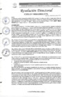 Vista preliminar de documento R.D. N°0458-2025-DIRESA-OGESS-HC