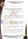 Vista preliminar de documento ORDENANZA MUNICIPAL Nº 006-2024-MDP