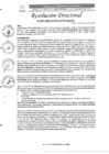 Vista preliminar de documento R.D. N°0460-2025-DIRESA-OGESS-HC