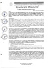 Vista preliminar de documento R.D. N°0462-2025-DIRESA-OGESS-HC