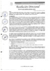 Vista preliminar de documento R.D. N°0469-2025-DIRESA-OGESS-HC