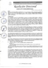 Vista preliminar de documento R.D. N°0474-2025-DIRESA-OGESS-HC
