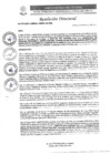 Vista preliminar de documento R.D. N°0479-2025-DIRESA-OGESS-HC