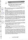 Vista preliminar de documento R.D. N°0483-2025-DIRESA-OGESS-HC