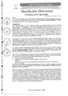 Vista preliminar de documento R.D. N°0484-2025-DIRESA-OGESS-HC