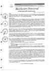 Vista preliminar de documento R.D. N°0490-2025-DIRESA-OGESS-HC