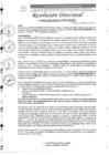 Vista preliminar de documento R.D. N°0495-2025-DIRESA.OGESS-HC
