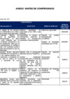 Vista preliminar de documento Anexo: Matriz de Compromisos